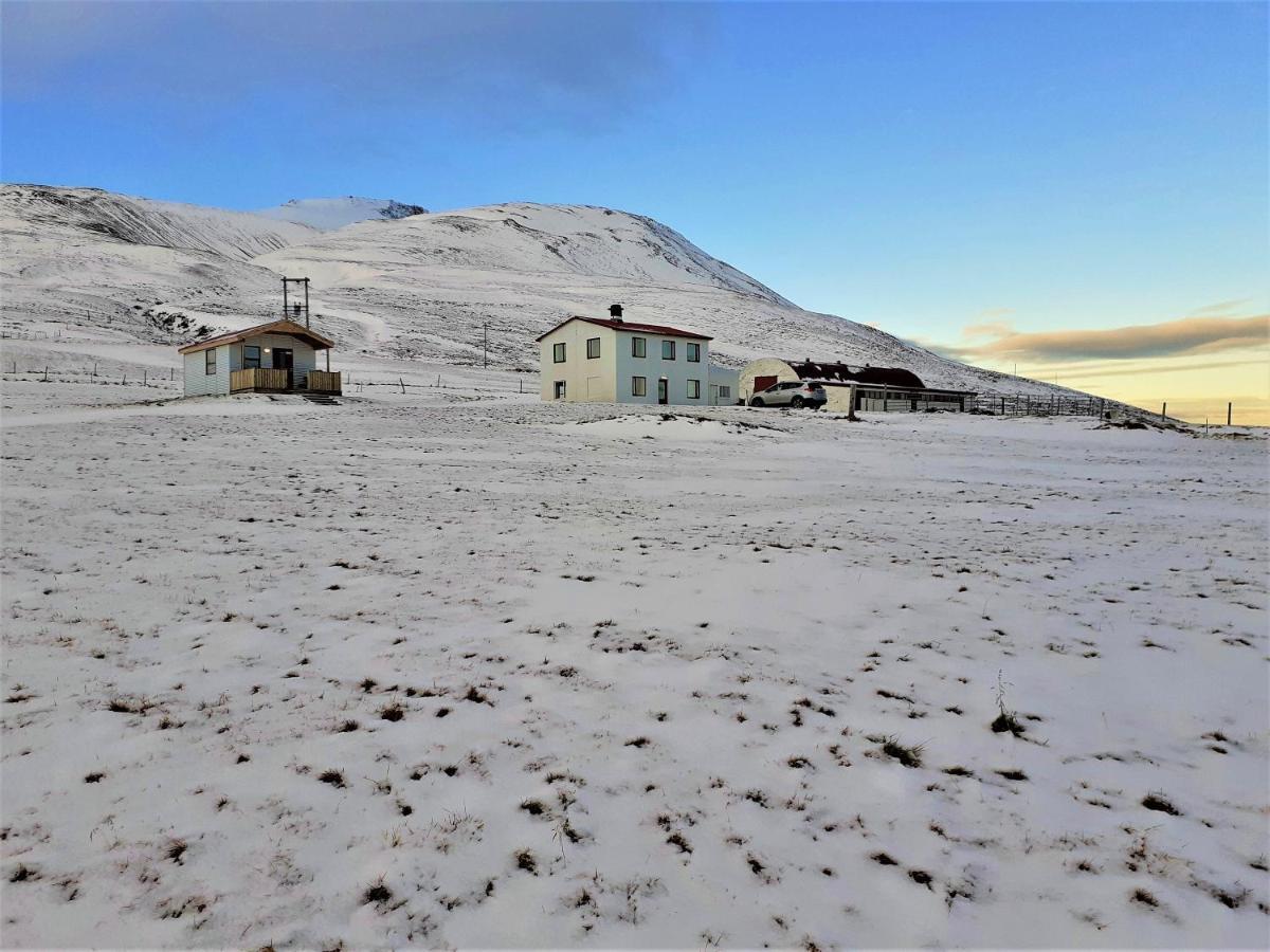 Skarth Guesthouse Saudarkrokur Exterior photo